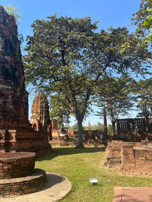 Ayutthaya, Thailand: Travel Guide & Temples 2 Brick temple ruins in Ayutthaya Historical Park, Thailand